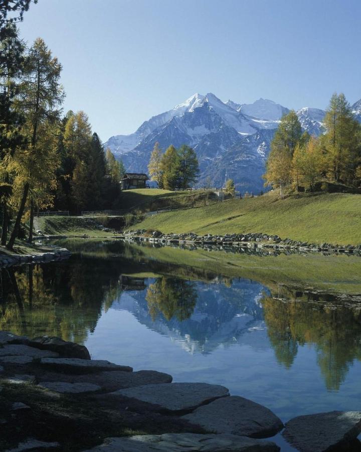 Ferienwohnung Edelweiss Grächen Exteriör bild